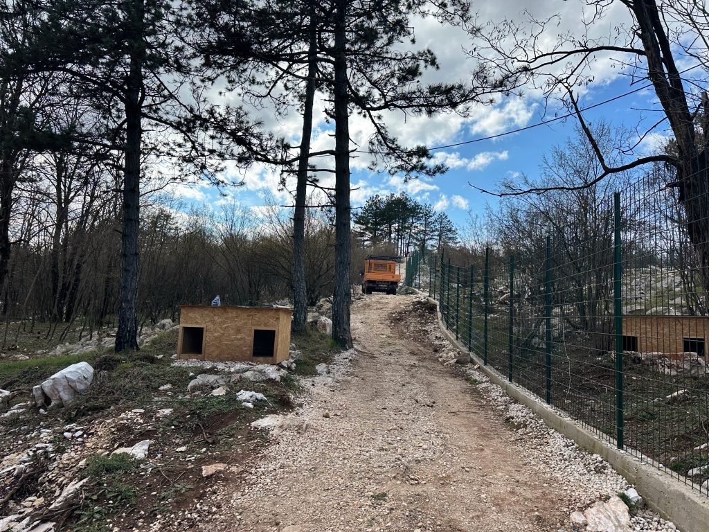 Free zone for dogs in Niksic, Montenegro