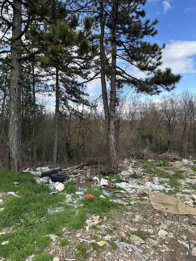 Illegal littering in Nikšić municipality