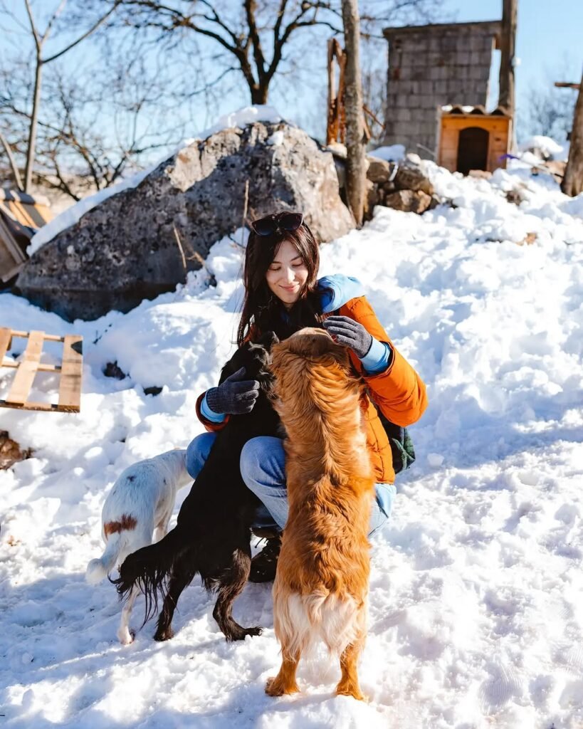 A girl petting dogs in the snow
